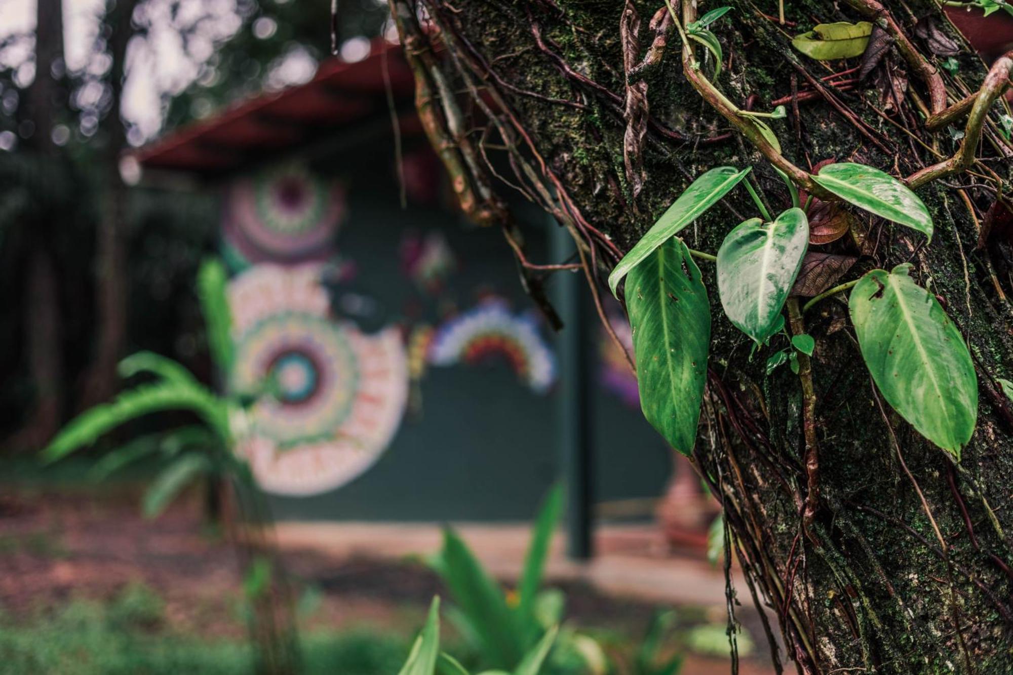 Nowhere Bocas Town Ngoại thất bức ảnh